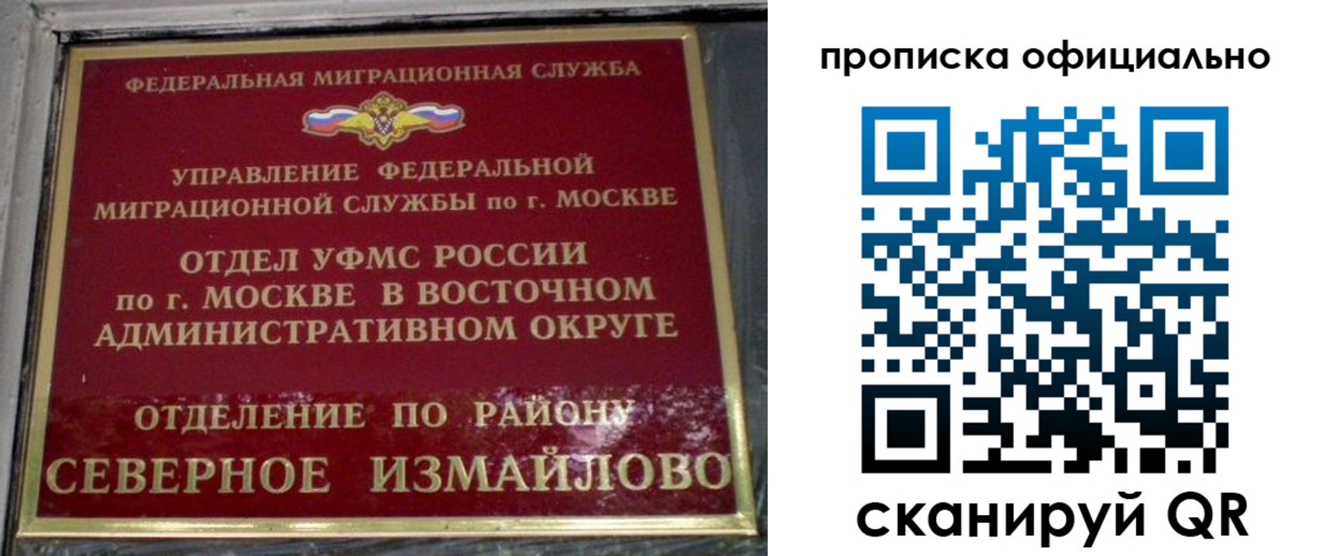 временная регистрация поиск в Камчатском крае